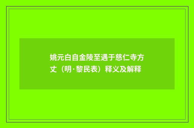 姚元白自金陵至遇于慈仁寺方丈（明·黎民表）释义及解释