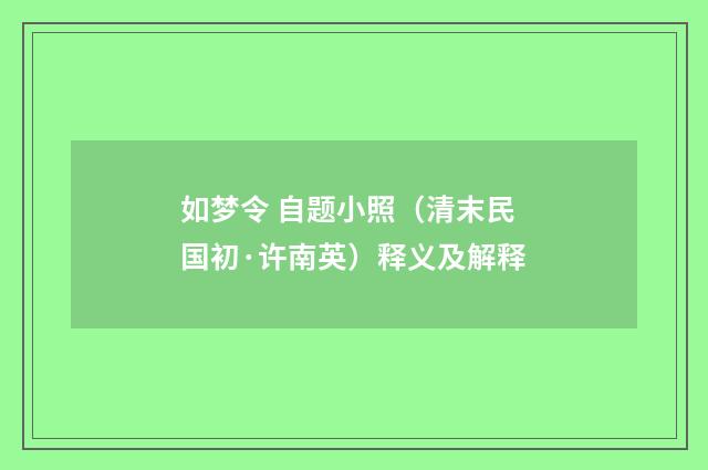 如梦令 自题小照（清末民国初·许南英）释义及解释