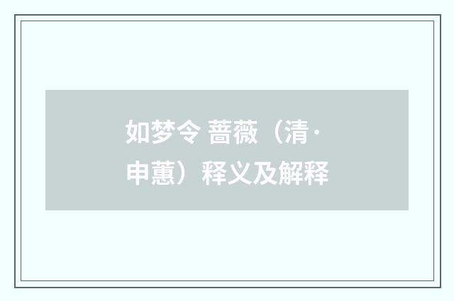 如梦令 蔷薇（清·申蕙）释义及解释