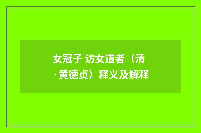 女冠子 访女道者（清·黄德贞）释义及解释
