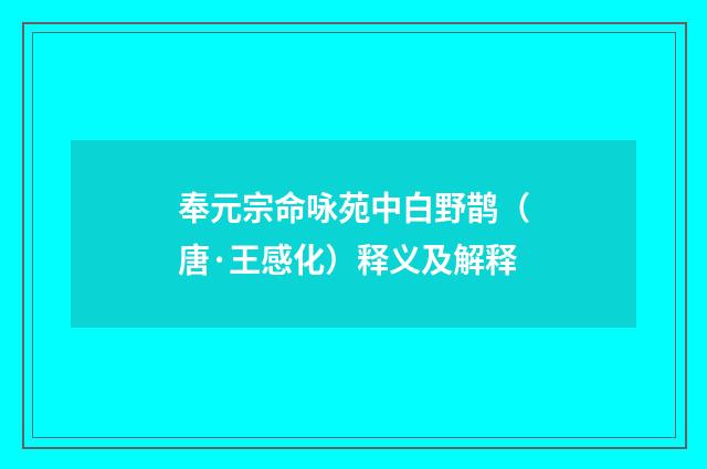 奉元宗命咏苑中白野鹊（唐·王感化）释义及解释