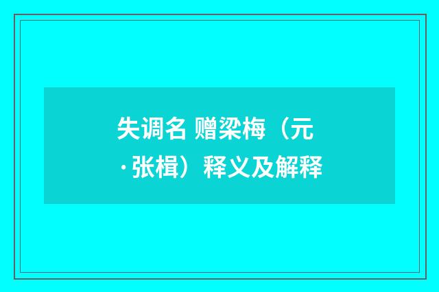 失调名 赠梁梅（元·张楫）释义及解释