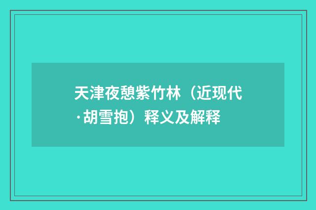 天津夜憩紫竹林（近现代·胡雪抱）释义及解释