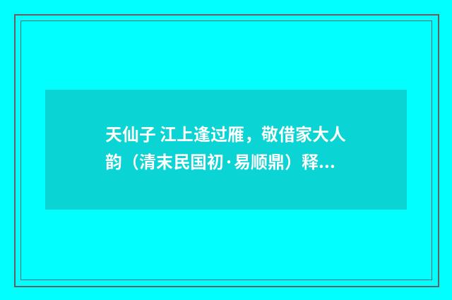 天仙子 江上逢过雁，敬借家大人韵（清末民国初·易顺鼎）释义及解释
