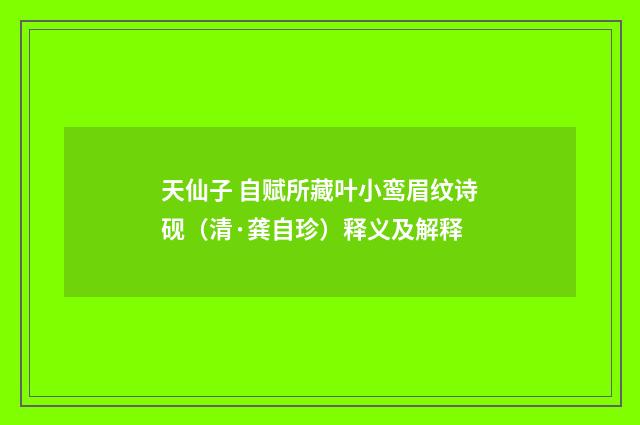 天仙子 自赋所藏叶小鸾眉纹诗砚（清·龚自珍）释义及解释