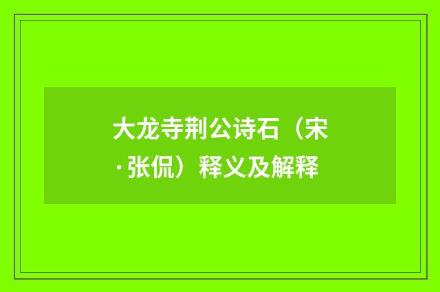 大龙寺荆公诗石（宋·张侃）释义及解释