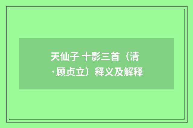 天仙子 十影三首（清·顾贞立）释义及解释