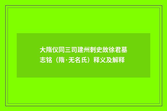 大隋仪同三司建州刺史故徐君墓志铭（隋·无名氏）释义及解释
