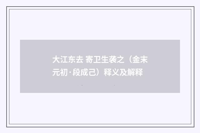 大江东去 寄卫生袭之（金末元初·段成己）释义及解释