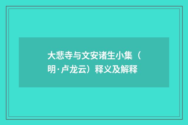 大悲寺与文安诸生小集（明·卢龙云）释义及解释