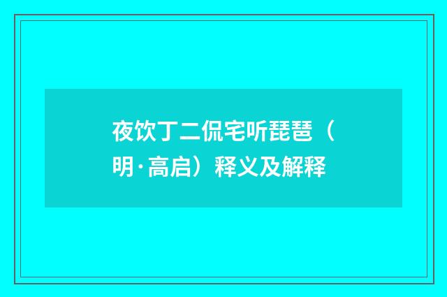 夜饮丁二侃宅听琵琶（明·高启）释义及解释