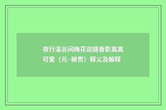夜行溪谷间梅花迎路香影离离可爱（元·柳贯）释义及解释