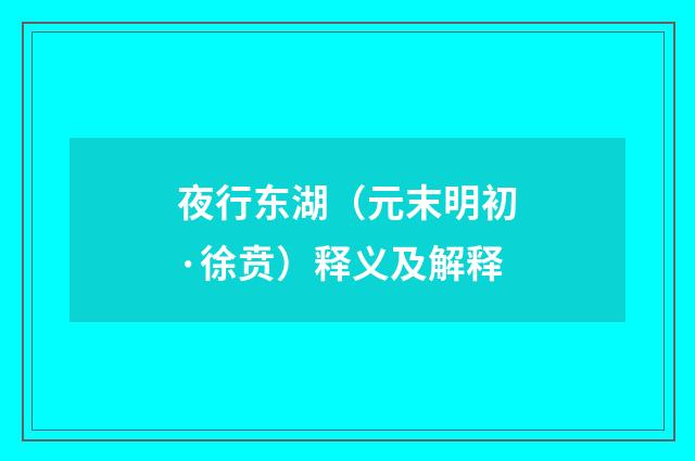夜行东湖（元末明初·徐贲）释义及解释