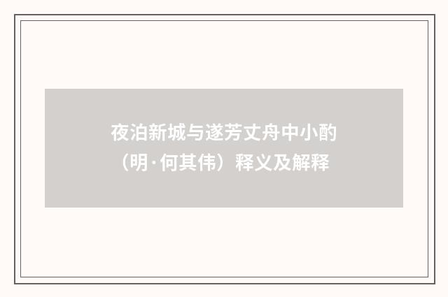 夜泊新城与遂芳丈舟中小酌（明·何其伟）释义及解释