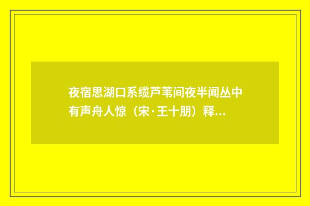 夜宿思湖口系缆芦苇间夜半闻丛中有声舟人惊（宋·王十朋）释义及解释