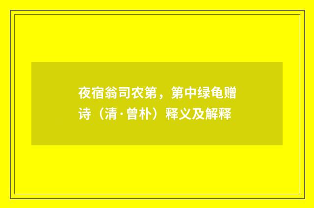 夜宿翁司农第，第中绿龟赠诗（清·曾朴）释义及解释