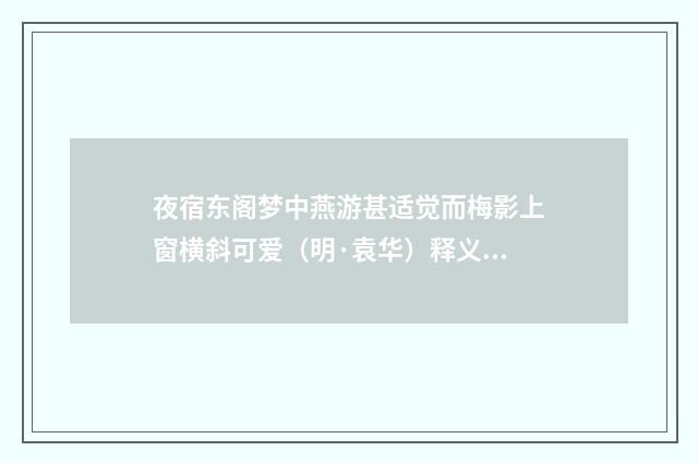 夜宿东阁梦中燕游甚适觉而梅影上窗横斜可爱（明·袁华）释义及解释