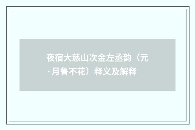 夜宿大慈山次金左丞韵（元·月鲁不花）释义及解释