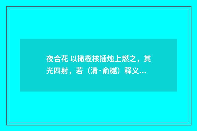 夜合花 以橄榄核插烛上燃之，其光四射，若（清·俞樾）释义及解释