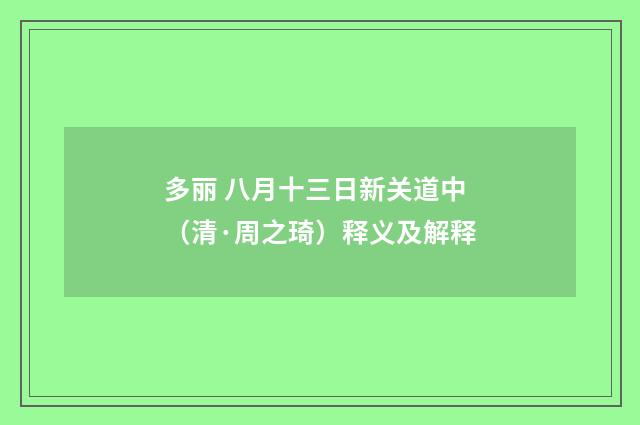多丽 八月十三日新关道中（清·周之琦）释义及解释