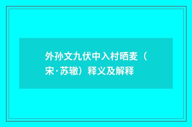 外孙文九伏中入村晒麦（宋·苏辙）释义及解释
