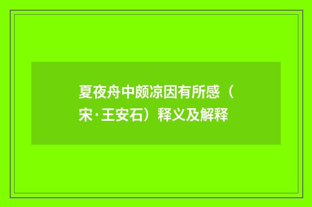 夏夜舟中颇凉因有所感（宋·王安石）释义及解释