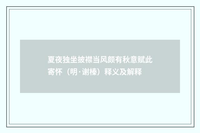 夏夜独坐披襟当风颇有秋意赋此寄怀（明·谢榛）释义及解释