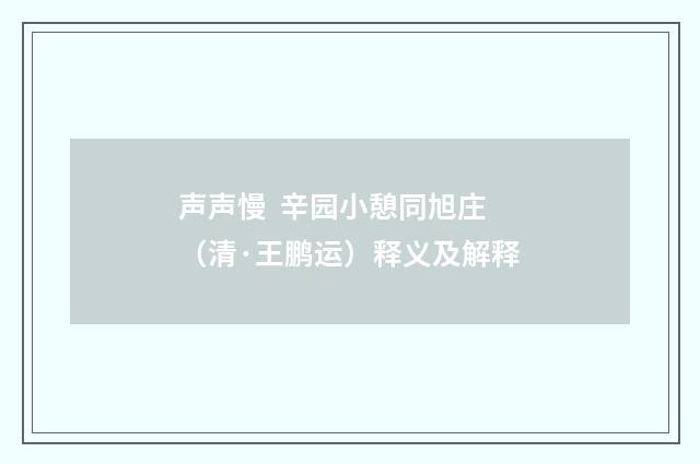 声声慢 辛园小憩同旭庄（清·王鹏运）释义及解释