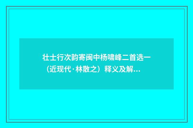 壮士行次韵寄闽中杨啸峰二首选一（近现代·林散之）释义及解释