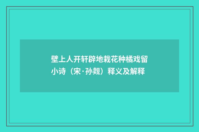 壁上人开轩辟地栽花种橘戏留小诗（宋·孙觌）释义及解释