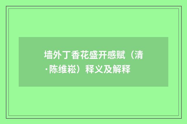 墙外丁香花盛开感赋（清·陈维崧）释义及解释