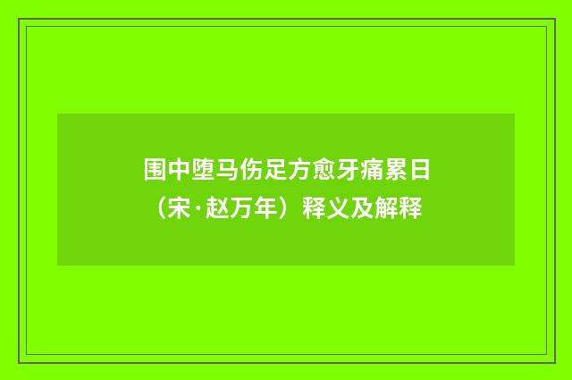 围中堕马伤足方愈牙痛累日（宋·赵万年）释义及解释