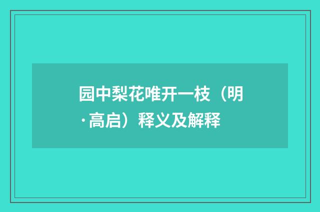 园中梨花唯开一枝（明·高启）释义及解释