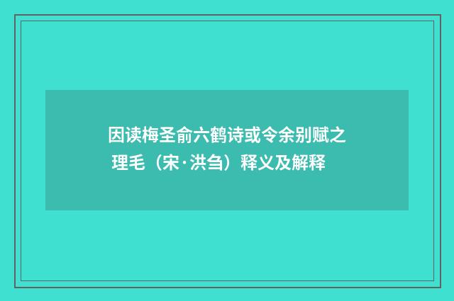 因读梅圣俞六鹤诗或令余别赋之 理毛（宋·洪刍）释义及解释