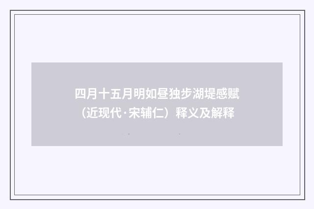 四月十五月明如昼独步湖堤感赋（近现代·宋辅仁）释义及解释
