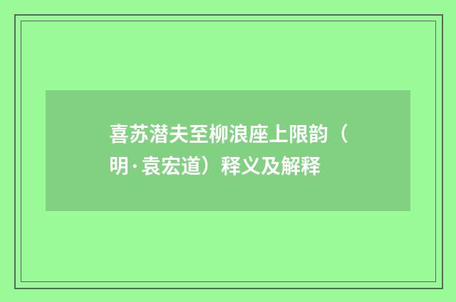 喜苏潜夫至柳浪座上限韵（明·袁宏道）释义及解释