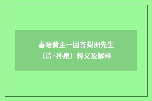 喜晤黄主一因寄梨洲先生（清·孙泉）释义及解释
