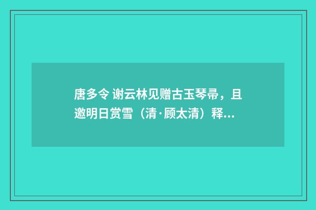 唐多令 谢云林见赠古玉琴帚，且邀明日赏雪（清·顾太清）释义及解释