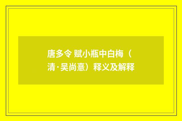 唐多令 赋小瓶中白梅（清·吴尚憙）释义及解释