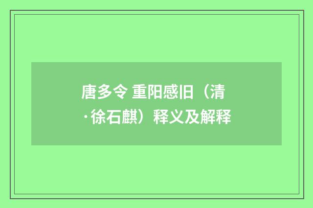 唐多令 重阳感旧（清·徐石麒）释义及解释