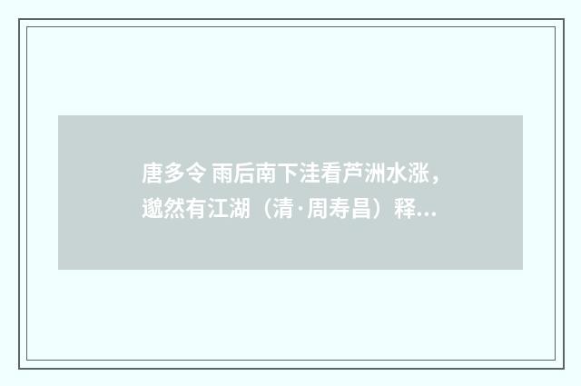 唐多令 雨后南下洼看芦洲水涨，邈然有江湖（清·周寿昌）释义及解释