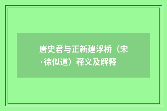 唐史君与正新建浮桥（宋·徐似道）释义及解释