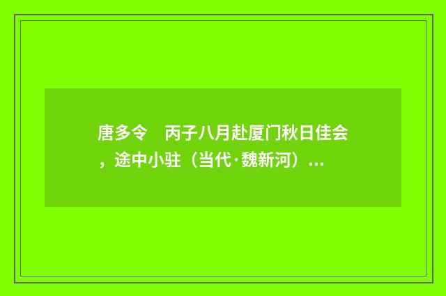 唐多令　丙子八月赴厦门秋日佳会，途中小驻（当代·魏新河）释义及解释
