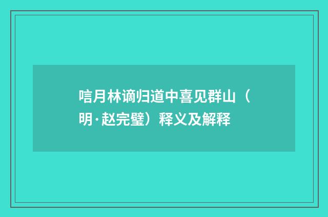 唁月林谪归道中喜见群山（明·赵完璧）释义及解释