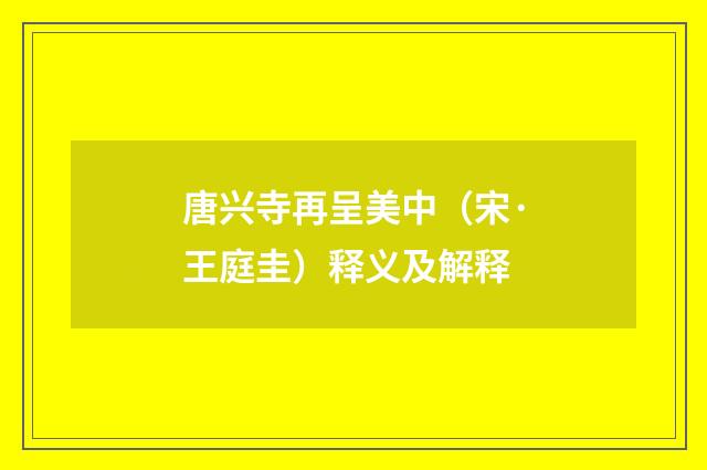 唐兴寺再呈美中（宋·王庭圭）释义及解释