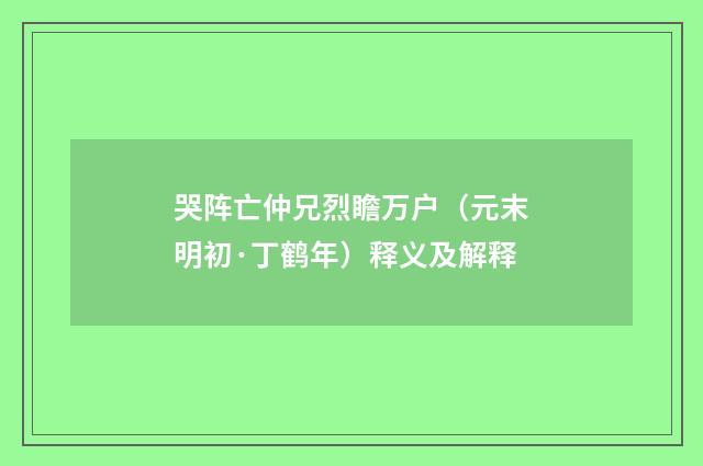 哭阵亡仲兄烈瞻万户（元末明初·丁鹤年）释义及解释