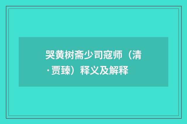 哭黄树斋少司寇师（清·贾臻）释义及解释