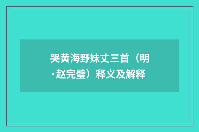 哭黄海野妹丈三首（明·赵完璧）释义及解释