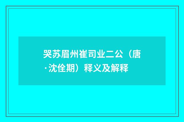 哭苏眉州崔司业二公（唐·沈佺期）释义及解释