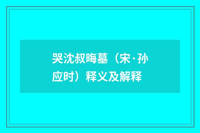 哭沈叔晦墓（宋·孙应时）释义及解释